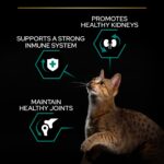 Purina Pro Plan - Adult Renal Plus Everyday Cat Dry Food - Chicken