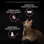 Purina Pro Plan - Sterilised Adult Delicate Digestion Cat Dry Food - Chicken