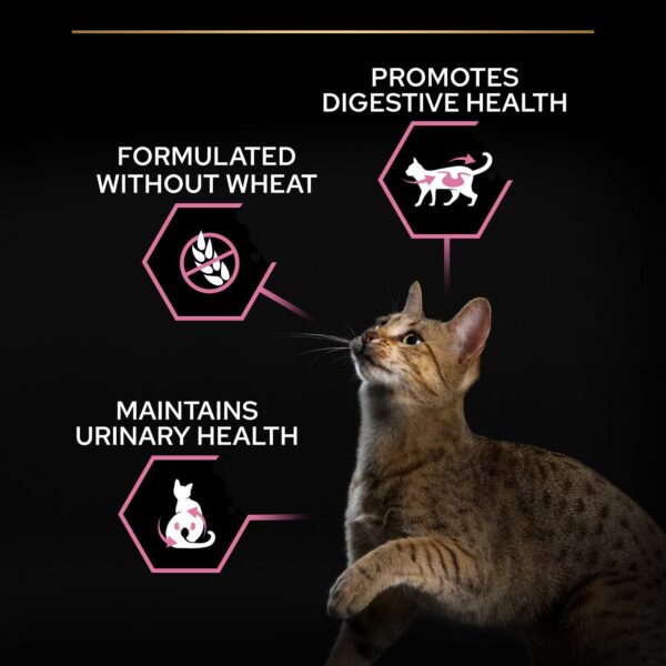 Purina Pro Plan - Sterilised Adult Delicate Digestion Cat Dry Food - Chicken