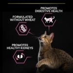 Purina Pro Plan - Adult Vital Functions Everyday Cat Dry Food - Salmon