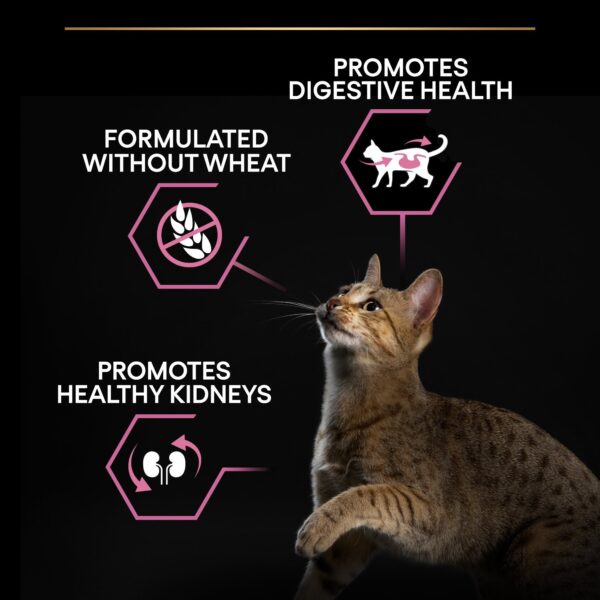 Purina Pro Plan - Adult Vital Functions Everyday Cat Dry Food - Salmon