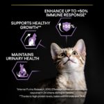 Purina Pro Plan - Kitten Healthy Start Cat Dry Food - Chicken - Shaking Tails