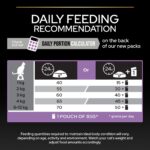Purina Pro Plan - Kitten Healthy Start Cat Dry Food - Chicken - Shaking Tails
