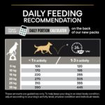 Purina Pro Plan - Medium Adult Sensitive Digestion Dog Dry Food - Lamb - Shaking Tails