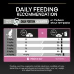 Purina Pro Plan - Adult Vital Functions Everyday Cat Dry Food - Salmon