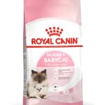 Royal Canin Mother and Babycat Cat Dry Food - Shaking Tails