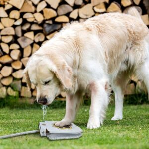 Outdoor Automatic Dog Drinking Fountain Step-On Design - Shaking Tails