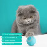 Smart Cat Ball Toy - Interactive Play for Cats