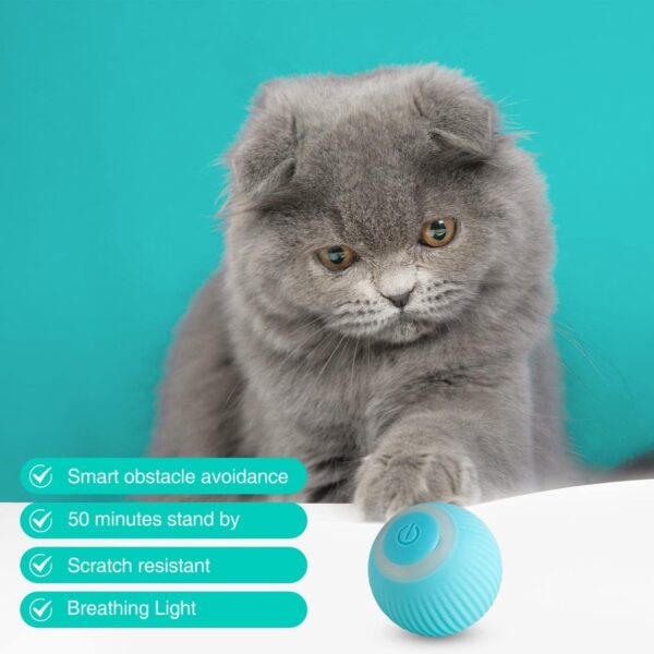 Smart Cat Ball Toy - Interactive Play for Cats
