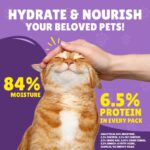 Purina FRISKIES Beef in Gravy Wet Cat Food - Shaking Tails
