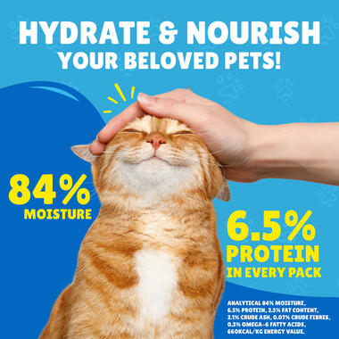 Purina FRISKIES Salmon in Gravy Wet Cat Food