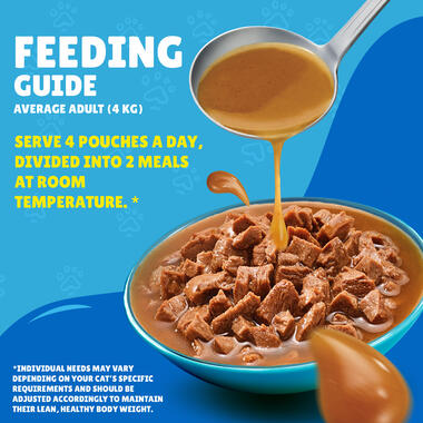 Purina FRISKIES Salmon in Gravy Wet Cat Food