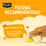 Kit Cat Kitty Crunch Chicken Flavor - Shaking Tails