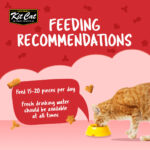 Kit Cat Kitty Crunch Beef Flavor - Shaking Tails