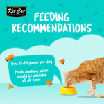 Kit Cat Kitty Crunch Lamb Flavor - Shaking Tails