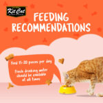 Kit Cat Kitty Crunch Salmon Flavor - Shaking Tails