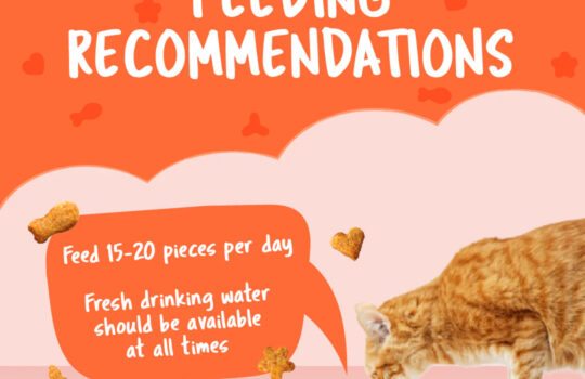 Kit Cat Kitty Crunch Salmon Flavor - Shaking Tails