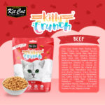 Kit Cat Kitty Crunch Beef Flavor - Shaking Tails