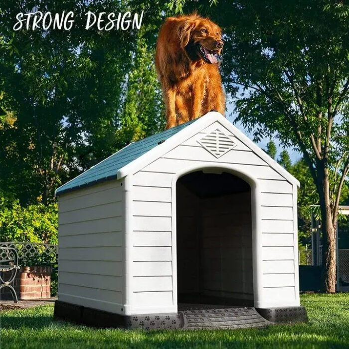 Dog Premium Outdoor House