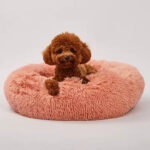 Plush Sofa