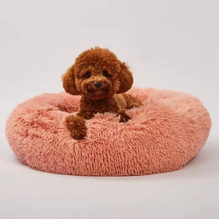 Plush Sofa