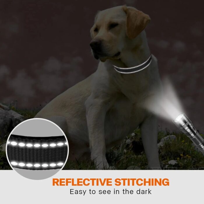 Adjustable Reflective Webbing Collar With Leash For Dogs And Cats