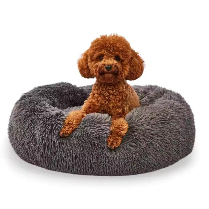 Plush Sofa
