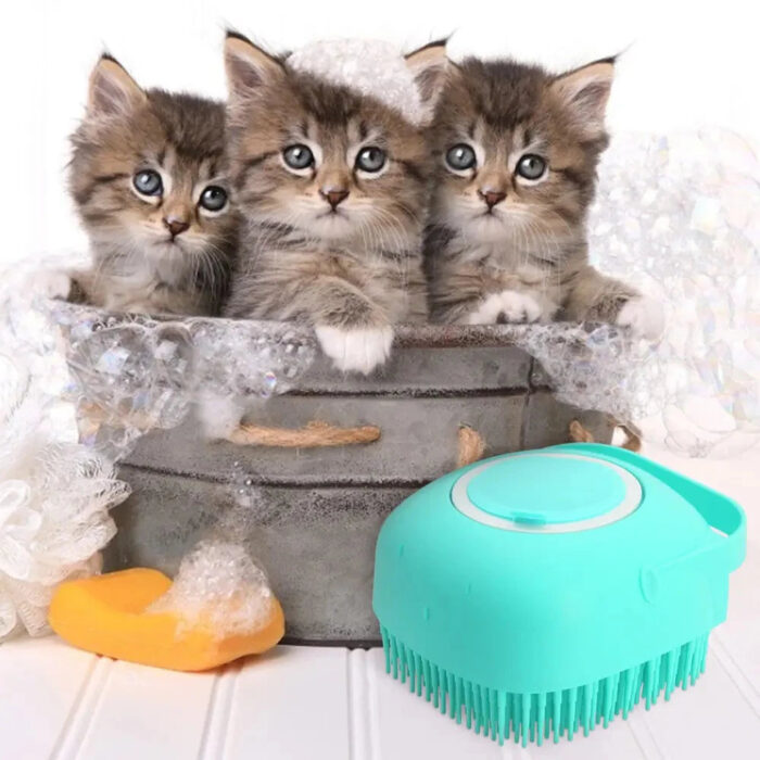 Bath Brush