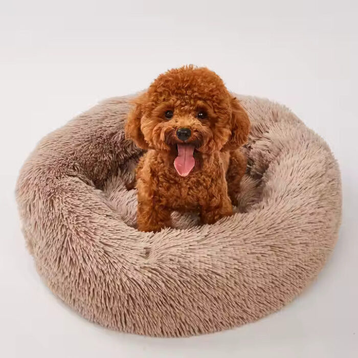 Plush Sofa