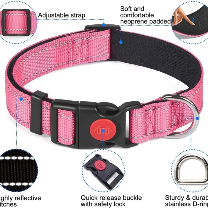 Adjustable Reflective Webbing Collar With Leash For Dogs And Cats - Shaking Tails
