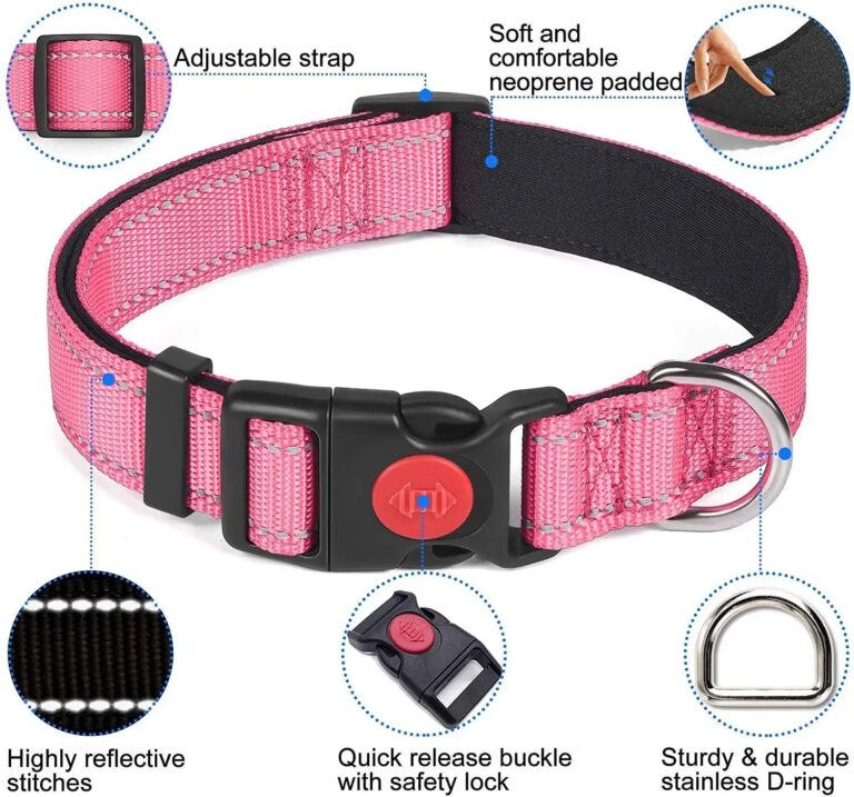 Adjustable Reflective Webbing Collar With Leash For Dogs And Cats
