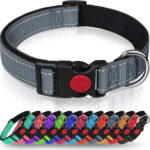 Adjustable Reflective Webbing Collar With Leash For Dogs And Cats
