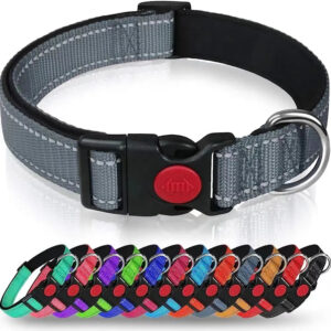 Adjustable Reflective Webbing Collar With Leash For Dogs And Cats