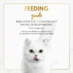 Purina FANCY FEAST Ocean Whitefish & Tuna Feast in Sauteed Seafood Flavour Gravy Gourmet Cat Food