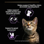 Purina Pro Plan - Kitten Healthy Start Cat Wet Food - Turkey in Gravy