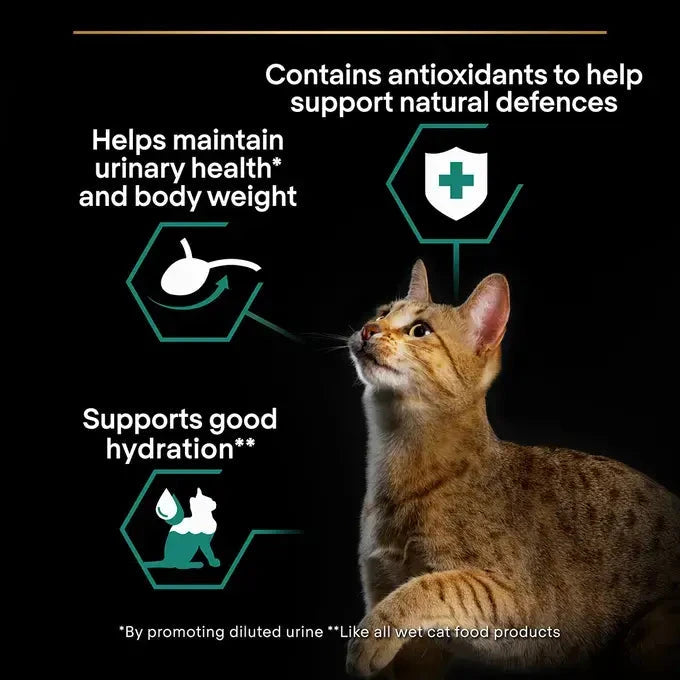 Purina Pro Plan - Sterelised Adult Maintenance Cat Wet Food - Chicken in Gravy