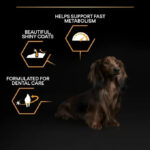 Purina Pro Plan - Small & Mini Adult Everyday Nutrition Dog Dry Food - Chicken