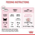 Royal Canin Mother and Babycat Cat Dry Food - Shaking Tails