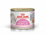 Royal Canin - Mother & Babycat Ultra Soft Mousse in Sauce Canned Cat Wet Food