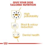Royal Canin - Chihuahua Adult Dog Dry Food