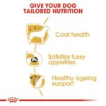 Royal Canin - Yorkshire Terrier Adult Dog Dry Food - Shaking Tails