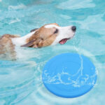 Bite Resistant Flying Disc