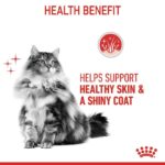 Royal Canin - Wet Hair & Skin Gravy Cat Food