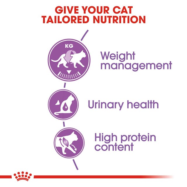 Royal Canin Adult Sterelised Cat Dry Food