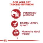 Royal Canin - Wet Instinctive Gravy Cat Wet Food - Shaking Tails