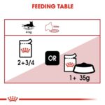Royal Canin - Wet Instinctive Gravy Cat Wet Food - Shaking Tails