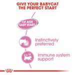 Royal Canin - Mother & Babycat Ultra Soft Mousse in Sauce Canned Cat Wet Food