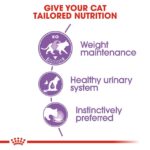 Royal Canin - Wet Sterilised Gravy Cat Wet Food - Shaking Tails