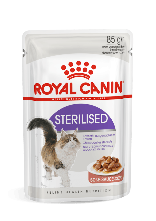 fhnw16-ster-cig-n-pouch Royal Canin - Wet Sterilised Gravy Cat Wet Food - Shaking Tails