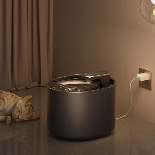 Automatic Water Dispenser